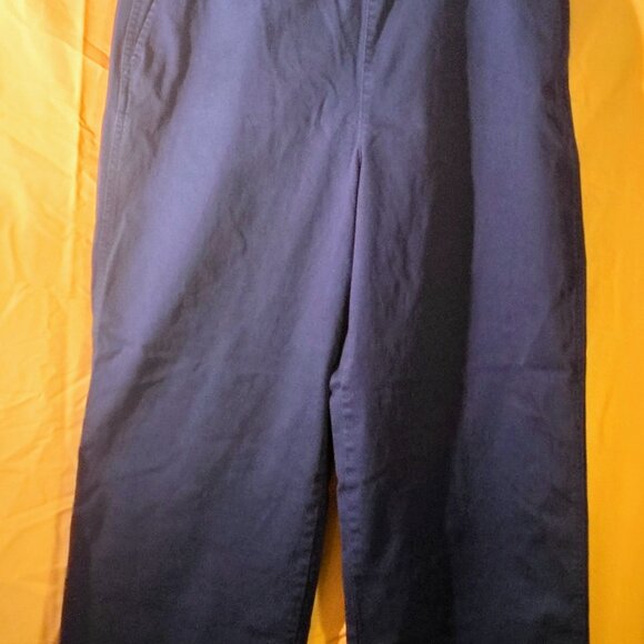 J crew Casual Relaxed Fit Pants CLEARENCE - Picture 1 of 2